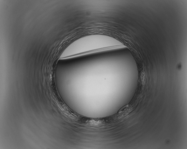 X0000116290570200912141314