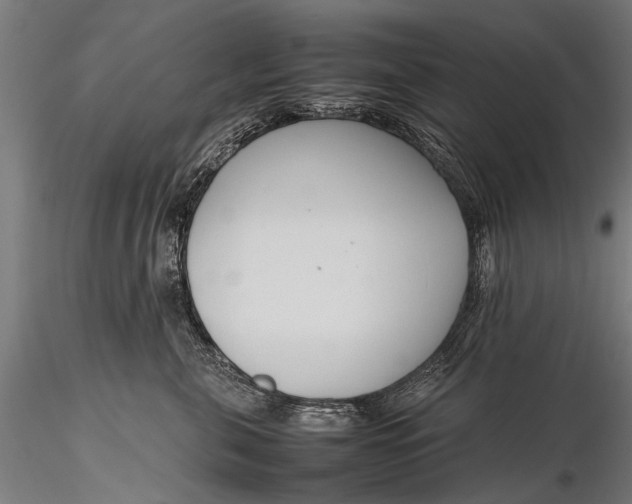 X0000116290571200912141314