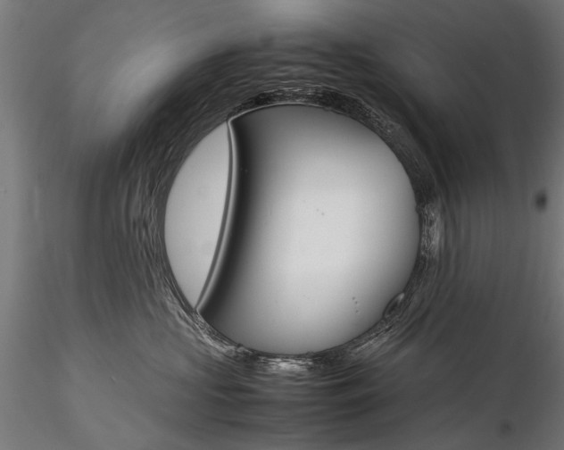 X0000116290573200912141314