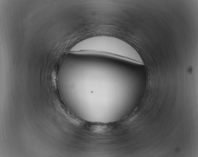 X0000116290575200912141315