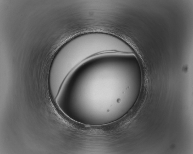 X0000116290577200912141314