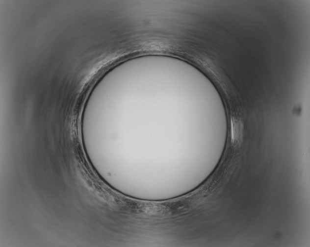 X0000116290579200912141314