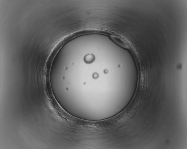 X0000116290580200912141314