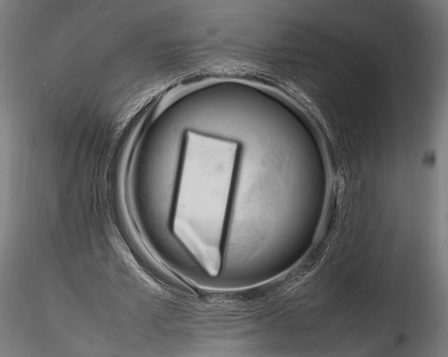 X0000116290581200912141314