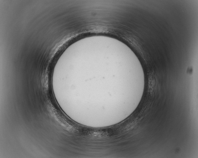 X0000116290584200912141314