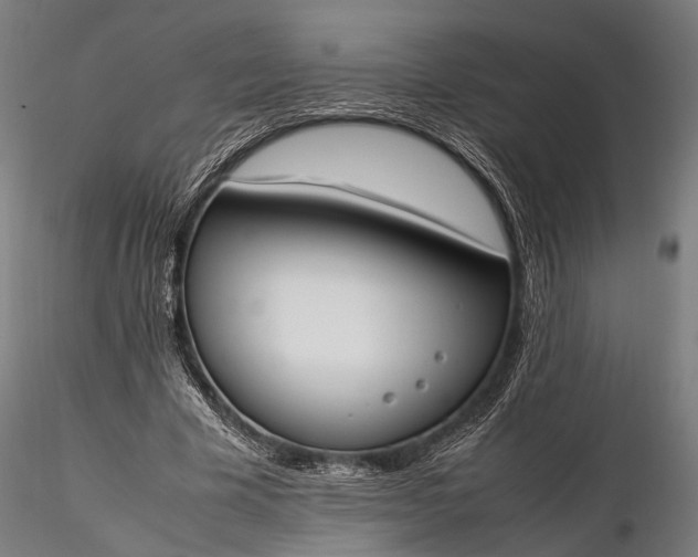 X0000116290585200912141314