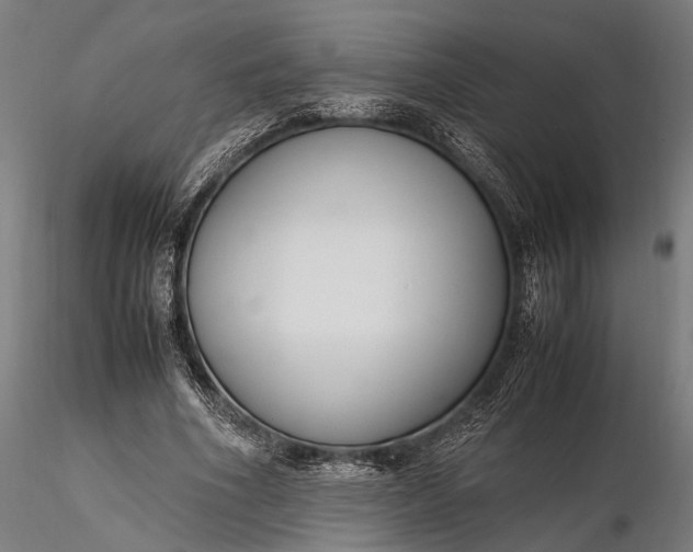 X0000116290586200912141314