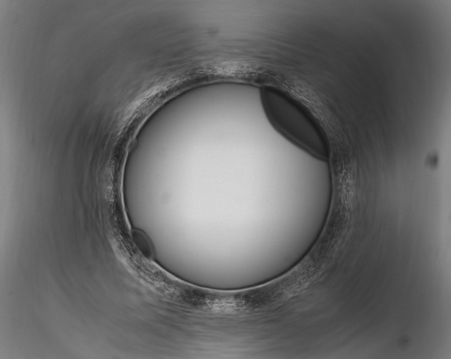 X0000116290587200912141314