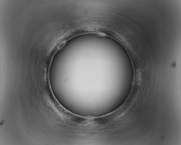 X0000116290589200912141314