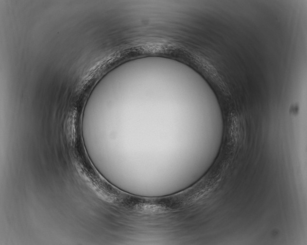 X0000116290590200912141314