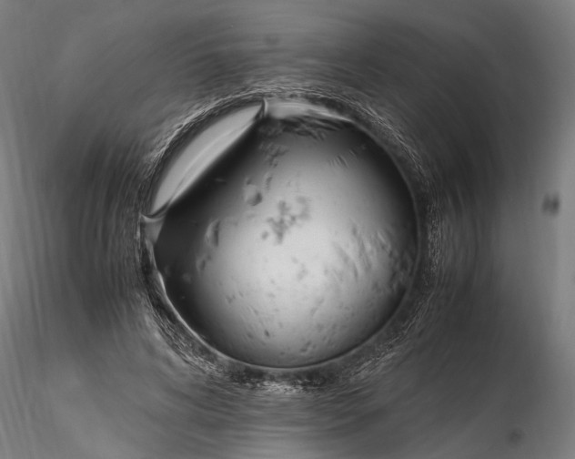 X0000116290592200912141313