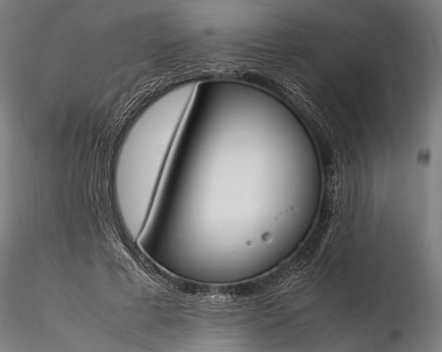 X0000116290593200912141313