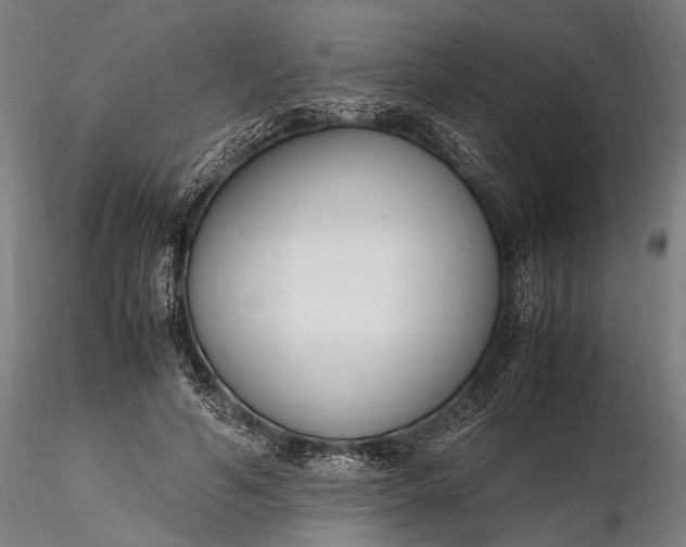 X0000116290594200912141313