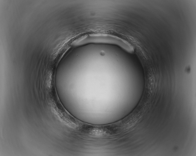 X0000116290596200912141313