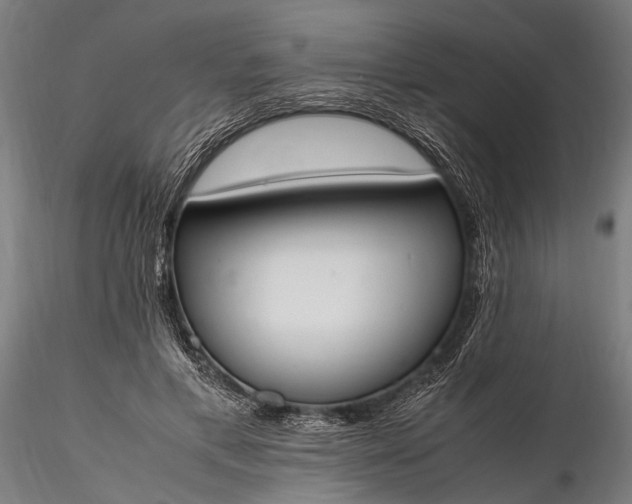 X0000116290597200912141313