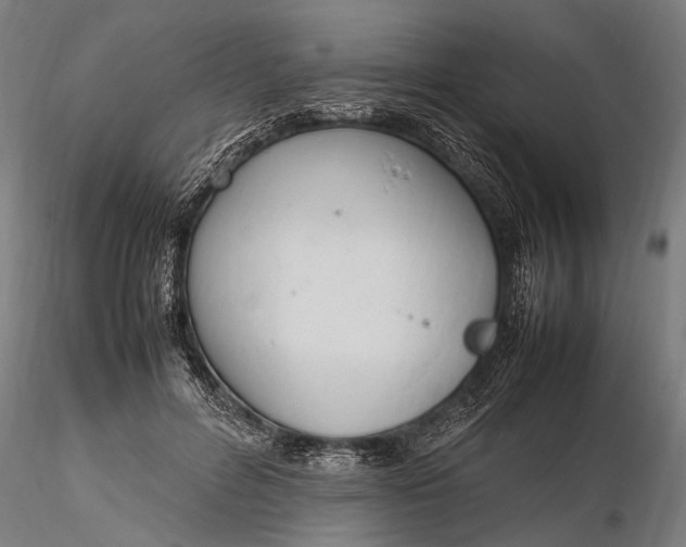 X0000116290600200912141313