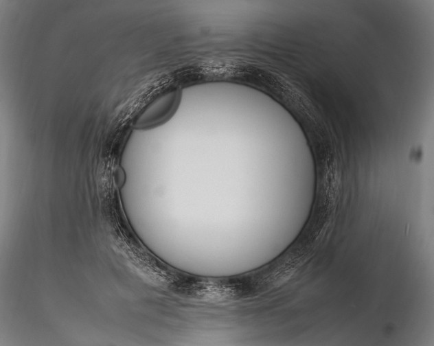 X0000116290601200912141313