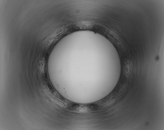 X0000116290604200912141313