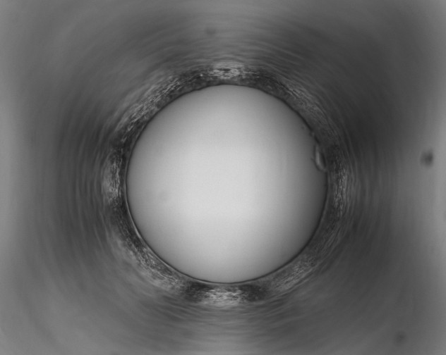 X0000116290606200912141313