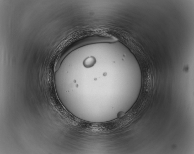 X0000116290608200912141313