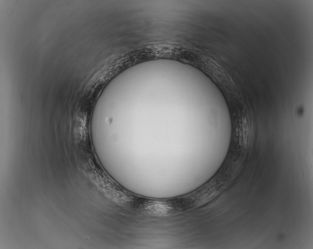 X0000116290610200912141313