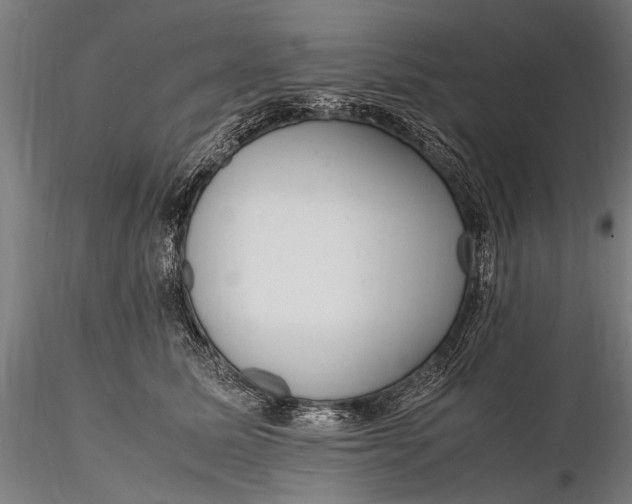 X0000116290611200912141313