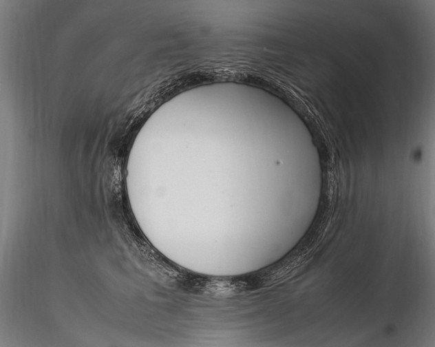 X0000116290613200912141313