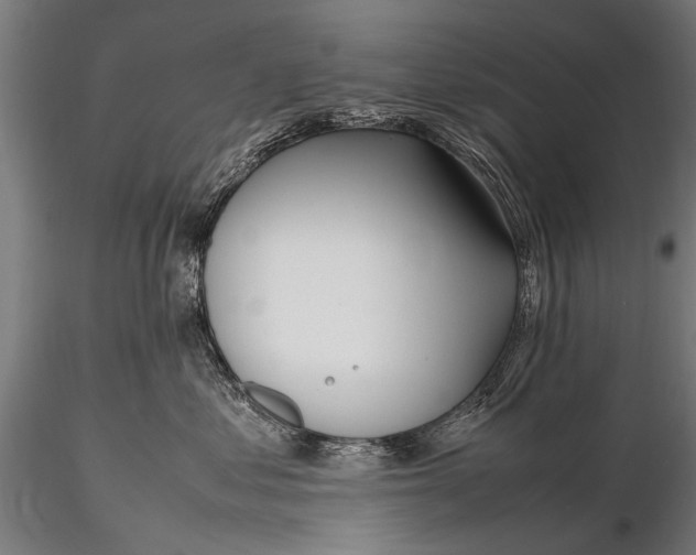 X0000116290621200912141313