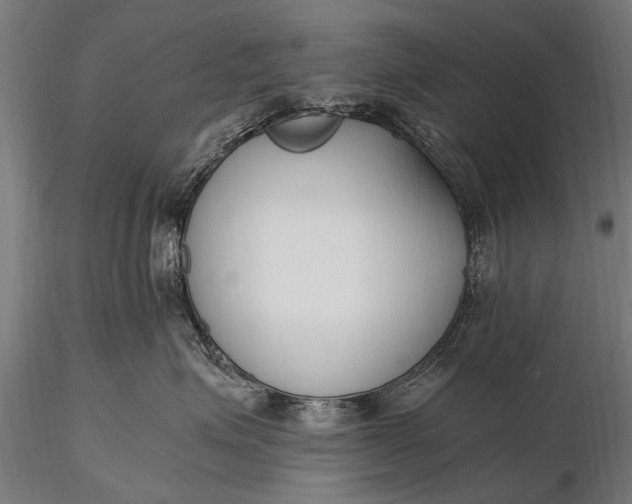 X0000116290623200912141313