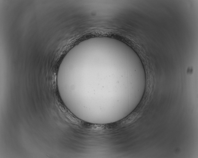 X0000116290624200912141313