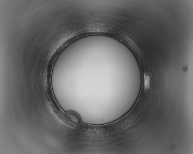 X0000116290627200912141312