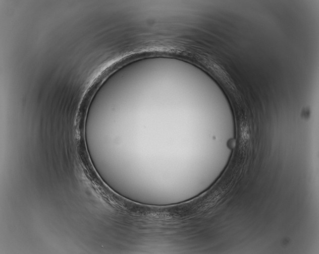 X0000116290628200912141312