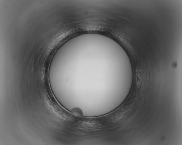 X0000116290631200912141312