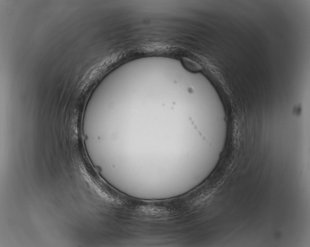 X0000116290633200912141313