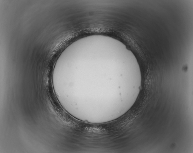 X0000116290635200912141313