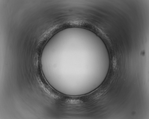 X0000116290637200912141313