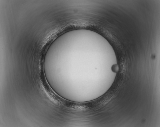 X0000116290638200912141313