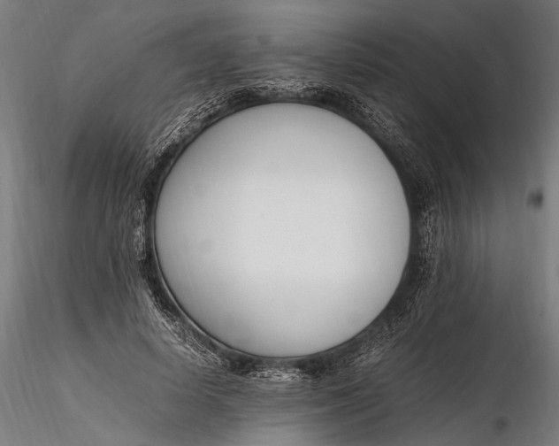 X0000116290642200912141313