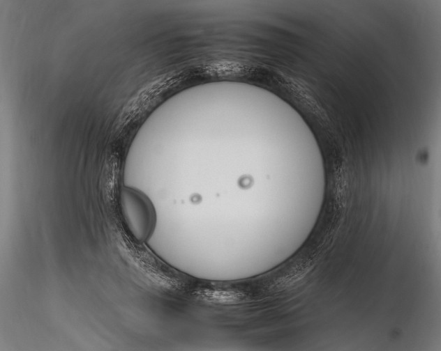 X0000116290645200912141313