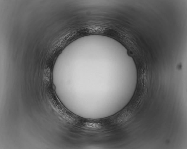 X0000116290649200912141313