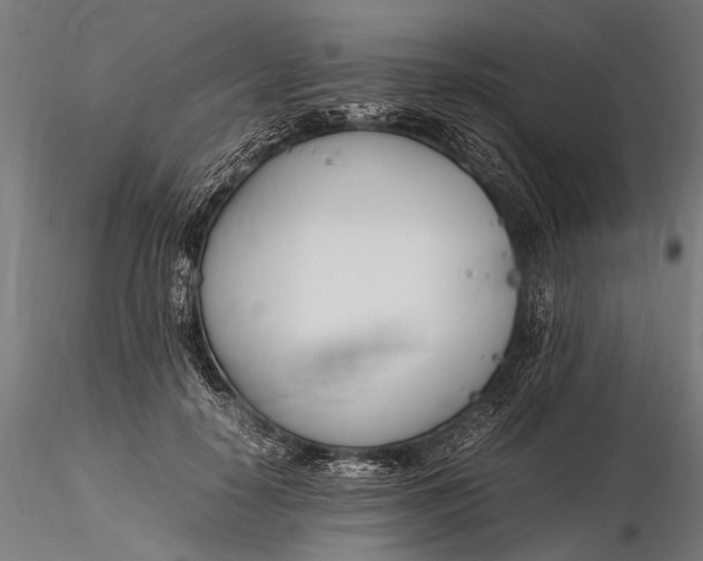 X0000116290650200912141313