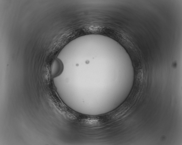 X0000116290651200912141313