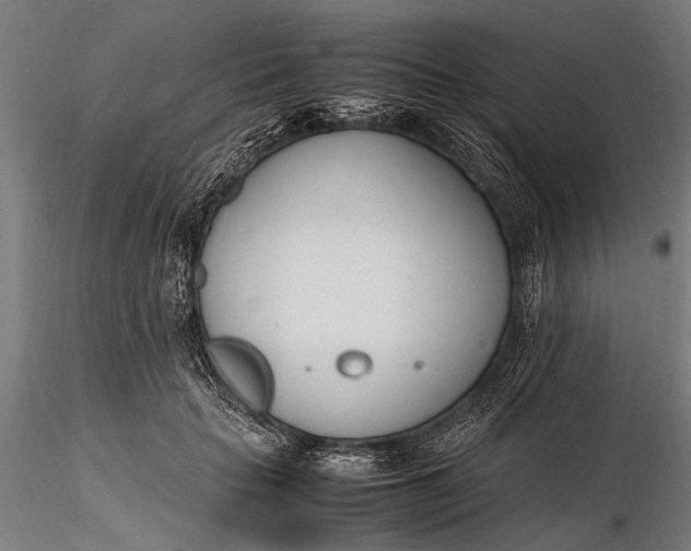 X0000116290653200912141313