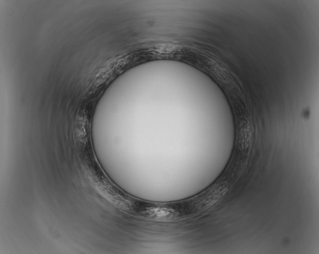 X0000116290654200912141313