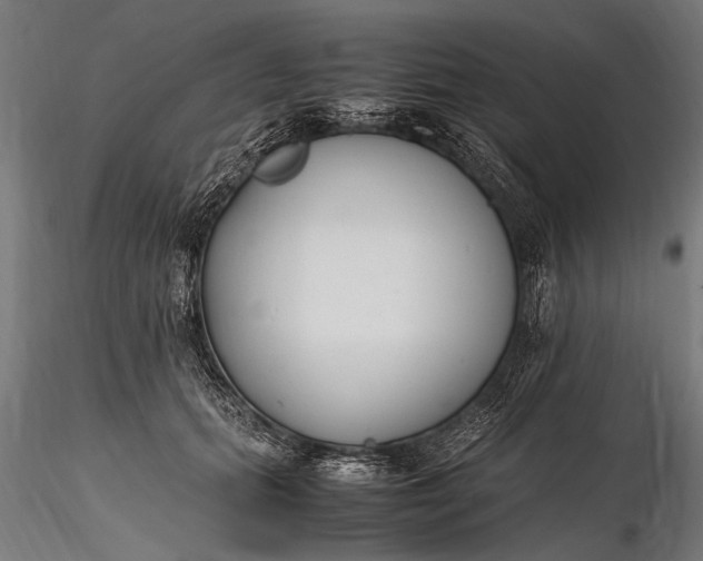 X0000116290655200912141313