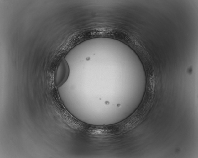 X0000116290657200912141313