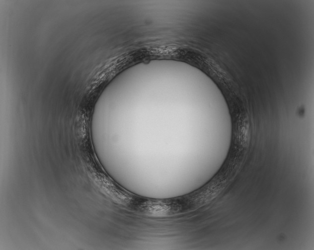 X0000116290658200912141313