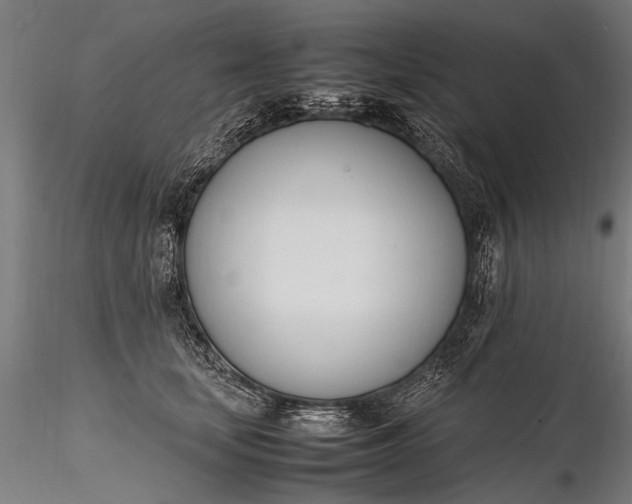 X0000116290659200912141313