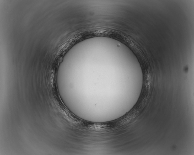 X0000116290664200912141313