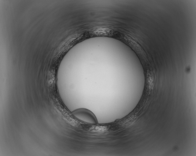 X0000116290665200912141313